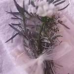 Hébergement de vacances Nonna Nesti